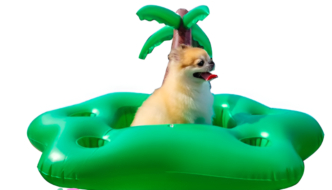 Dog Pool Floats Set for Small Dog, Puppy and Doggies (Coconut Tree)